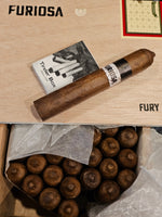 Viaje Furiosa Fury